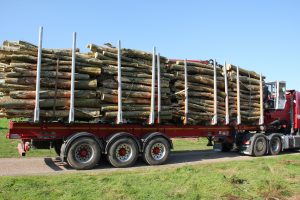 Articulated lorry hauling logs